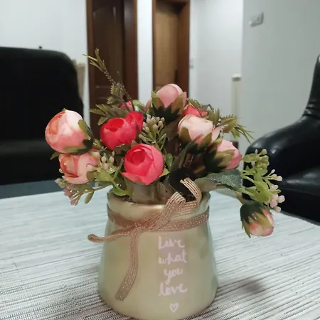 Appartamento Mladenovic Center, Free Parking&wifi Vranje