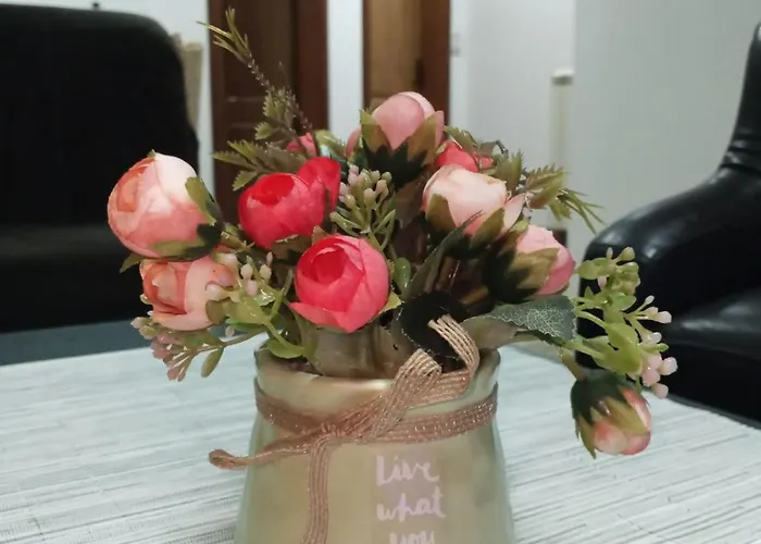 Апартаменты Mladenovic Center, Free Parking&wifi Вране